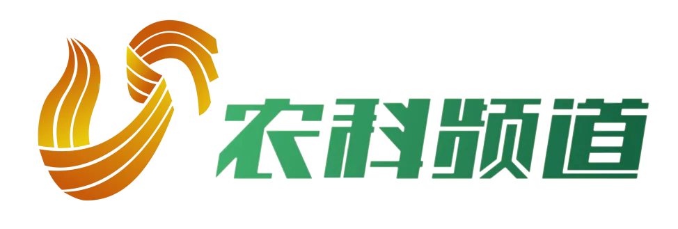 2B396EA04C94E6CAA6CAAF2C9CFC1ED3.webp