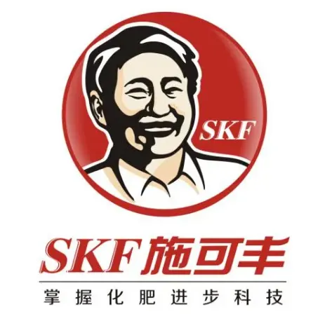 36-12B19-施可丰SKF.webp